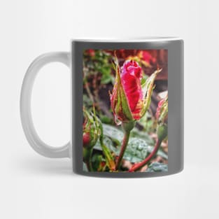 Rosebud after rain Mug